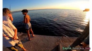 Дельфины | какую рыбу ловят в мраморном море | на какую приманку ловят в Турции