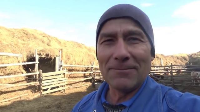 Приехал домой обзор молодняка и болтовня. смотреть онлайн