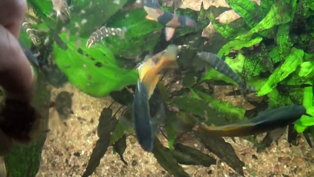 кормление 20110211124126.m2ts смотреть онлайн