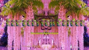 Сад цветов  Kawachi Fuji Garden*