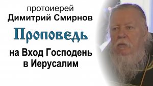 Проповедь на Вход Господень в Иерусалим (2010.03.28). Протоиерей Димитрий Смирнов