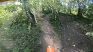 Прохват по лесу на Avantis 250 172FMM FastAce