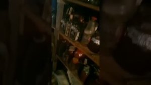 Обустройство подвала