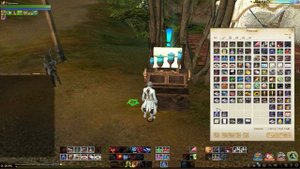 ArcheAge 4.5-  Свое изображение в игре/картины