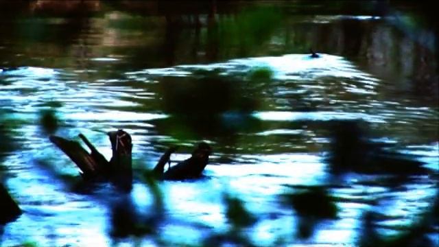 ПОПЛАВОК г.Ноябрьск смотреть онлайн