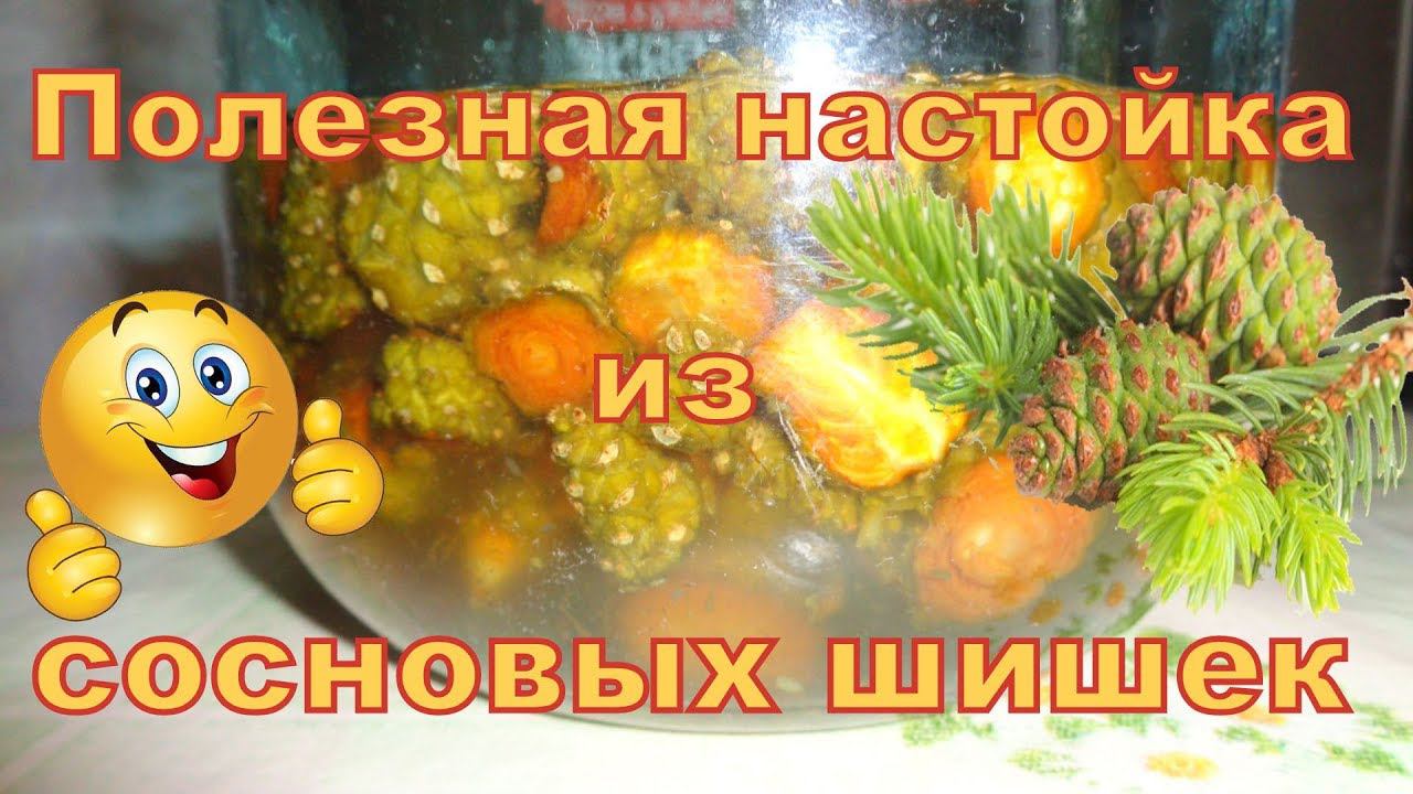 Полезная настойка из сосновых шишек на водке.Часть 3.