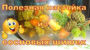 Полезная настойка из сосновых шишек на водке.Часть 3.