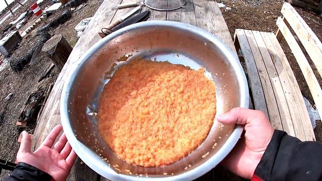 ИКРА ЩУКИ. КАК ПРАВИЛЬНО ПРИГОТОВИТЬ ЩУЧЬЮ ИКРУ КЛАССА ЛЮКС! смотреть онлайн