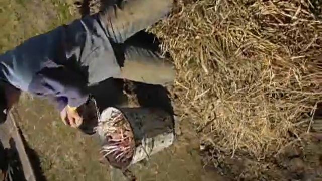 как картошку сажали смотреть онлайн