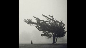 Илья Бешевли | Путешествие по ветру  192 kbps