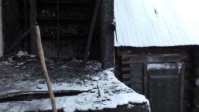 Приехал из леса домой, а там... Опасная ситуация!!! смотреть онлайн