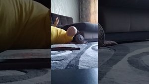 ФРАНЦУЗСКИЙ ЖИМ ГИРИ 40кг НА10 РАЗ !!!  ОДНОЙ РУКОЙ !!!