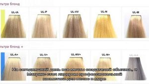 Выбираем лучшую серию краски Matrix, обзор палитры