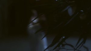 Blackbriar - Moonflower (feat. Marjana Semkina)