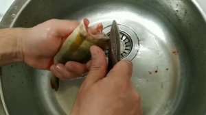 САМЫЙ БЫСТРЫЙ СПОСОБ СНЯТИЯ ШКУРЫ С ОКУНЯ