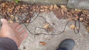 Выращивание граната в Краснодарском крае.Как укрыть гранат на зиму?