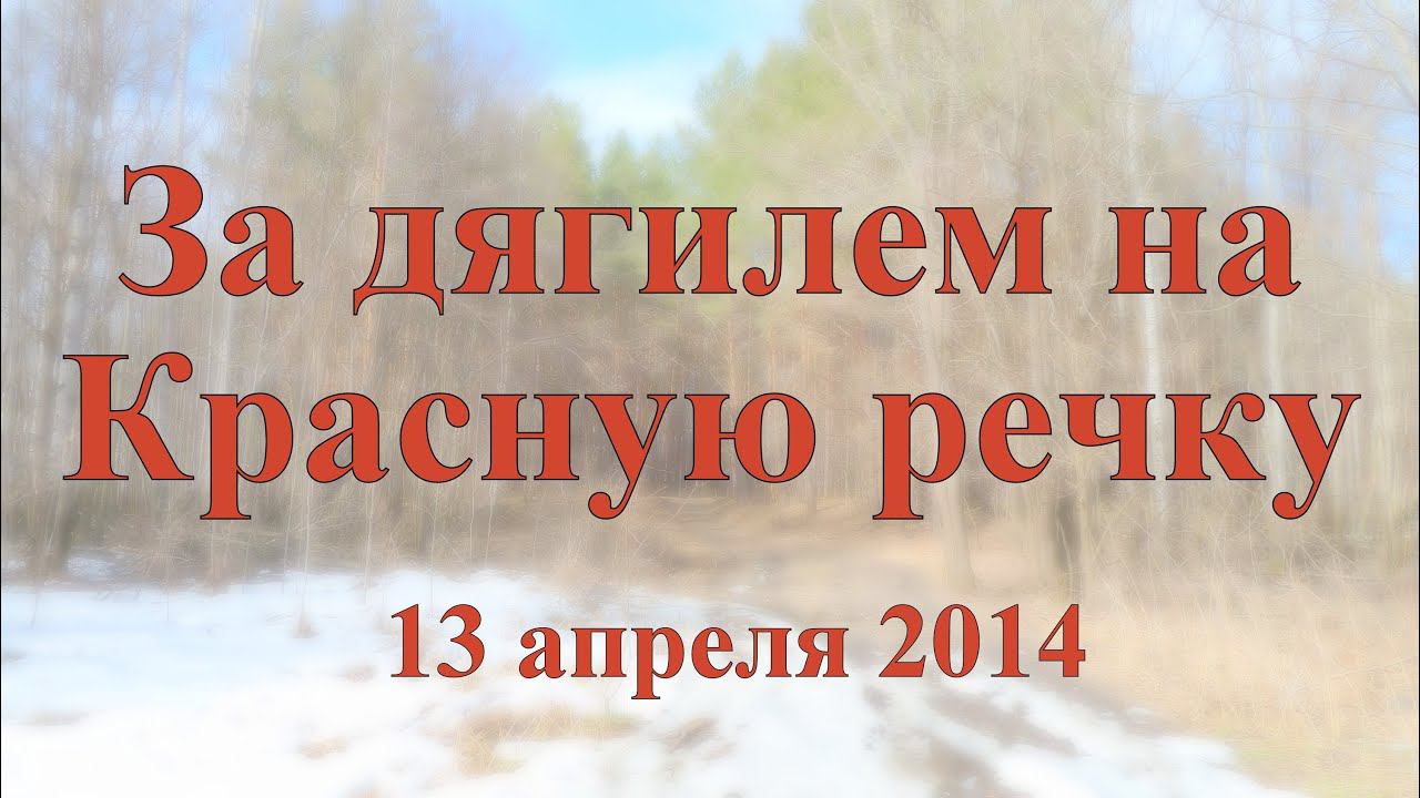 За дягилем на Красную речку 13 апреля 2014