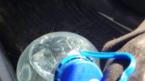 Солярис 2 - вибрация.