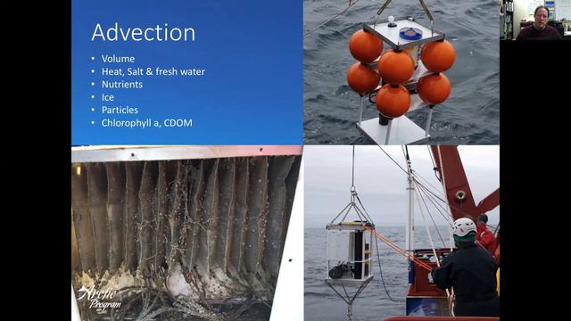 Including Biological Processes in Models Part II -- Marine Ecosystems Collaboration Team Meeting смотреть онлайн