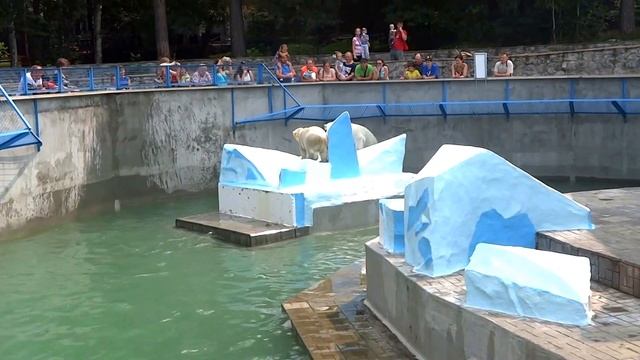 По следам белого медвежонка (5) смотреть онлайн