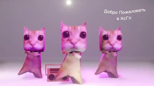 КОТЫ ТАНЦУЮТ ПОД КРУТУЮ МУЗЫКУ. ( Фон Для CS:GO ) смотреть онлайн