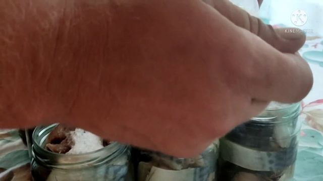 консервы из скумбрии в масле! в автоклаве.