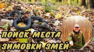 Поиск места зимовки змей