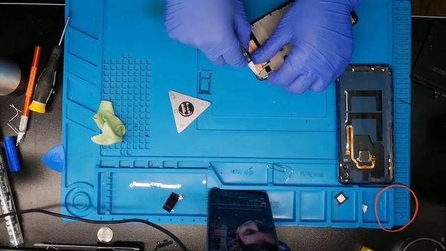 Live! Huawei P Smart 2019, Doreleee смотреть онлайн