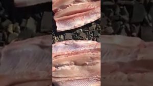 Чир, Чокурдах. Как солить рыбу.