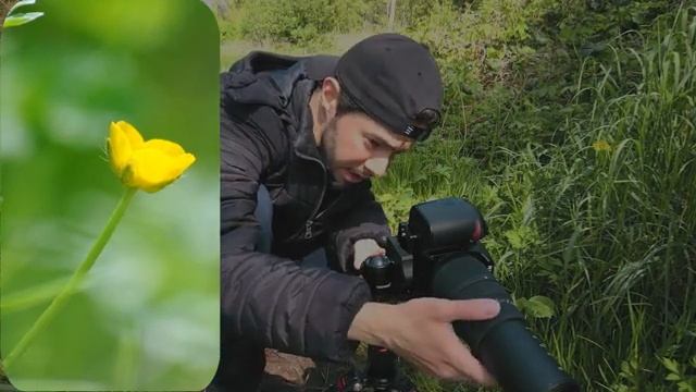 Flower MACRO Photography | Sigma 70-300mm MACRO Lens | NIKON D90 смотреть онлайн