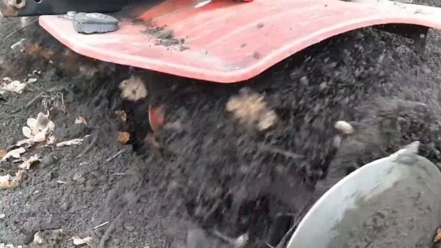 Качество работы фрез мотокультиватора "ASILAK- SL-82B" смотреть онлайн