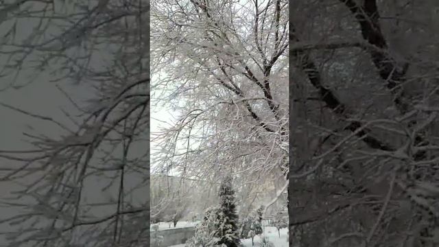 Город Учкудук 19.01.2022❄️❄️