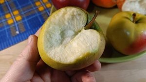 Обзор сортов яблони Имант, Памяти Сикоры, Дарунок, Дыямент, Зоя.  2 января 2023г