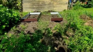 15.08.22.Дача..стрижка  нового газона?опять грядки в конце участка?