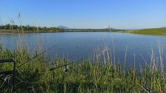 Рыбалка на платнике. Карп, Сазан, карась. смотреть онлайн