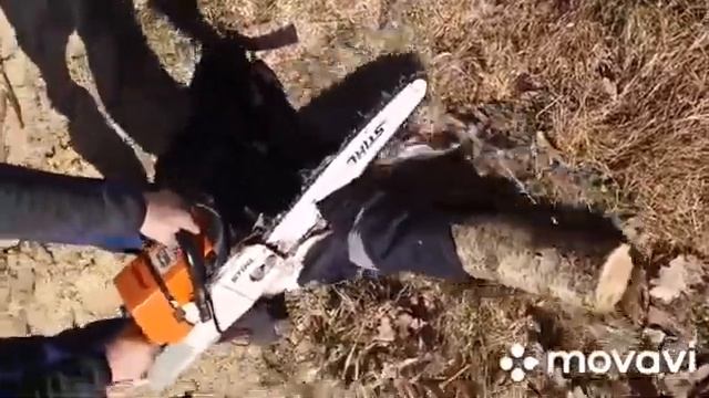 Испытания Костюма вальщика леса