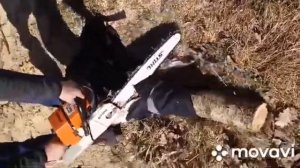 Испытания Костюма вальщика леса