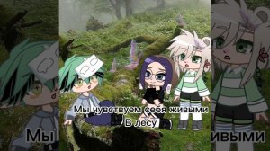 Как можно любить лес?