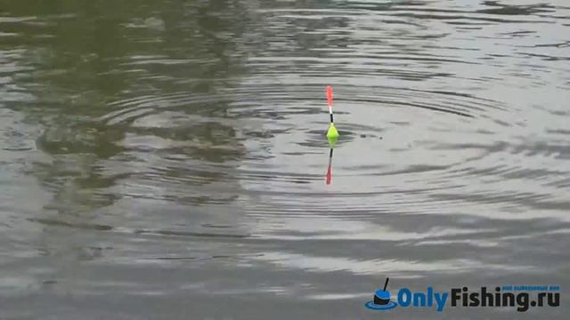 Ловля карася у аэропорта Внуково