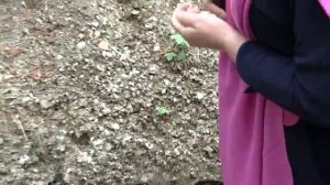 Южный Урал, минералы: поездка на гранатовую копь, часть 1.