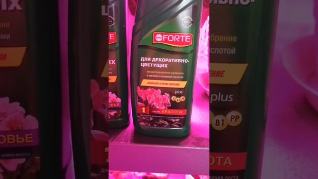 Новый стеллаж, и мои цикламенчики🤗 смотреть онлайн