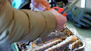 Японская уличная еда - ГИГАНТСКИЙ АЛЯСКИНСКИЙ КАМЧАТСКИЙ КРАБ Хакодатэ Хоккайдо морепродукты Япония