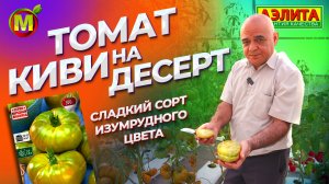 Экзотический сорт томата КИВИ. Рекомендуем к выращиванию!