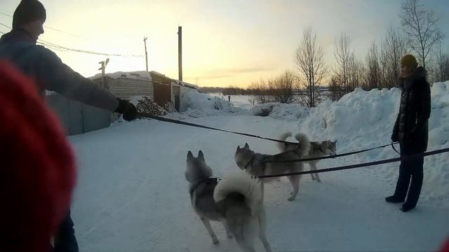 ЯНИКА,ЯСЯ, ЯРИС встреча в Ижевске смотреть онлайн