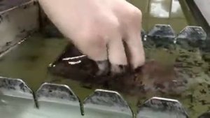 Аквапирнт - Камуфляж Цифра. Аквапечать на заднюю крышку iphone. Оригинально, не как у всех