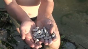 ПОИСК ДРЕВНИХ ОКАМЕНЕЛОСТЕЙ.