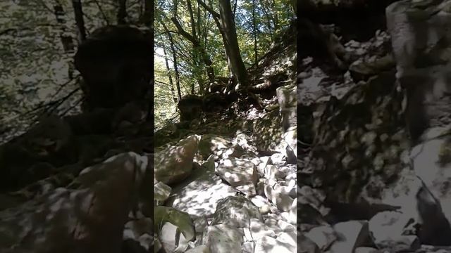 Река Уж на Закарпатье смотреть онлайн