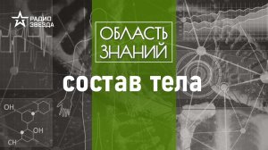 Зачем клеткам тела нужен кальций? Лекция биолога Сергея Подковальникова.