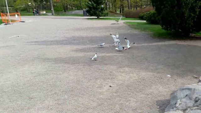 Памятник Сибелиусу (full), Helsinki смотреть онлайн