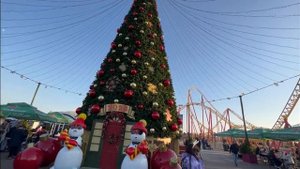 Сочи Парк. Январь 2023